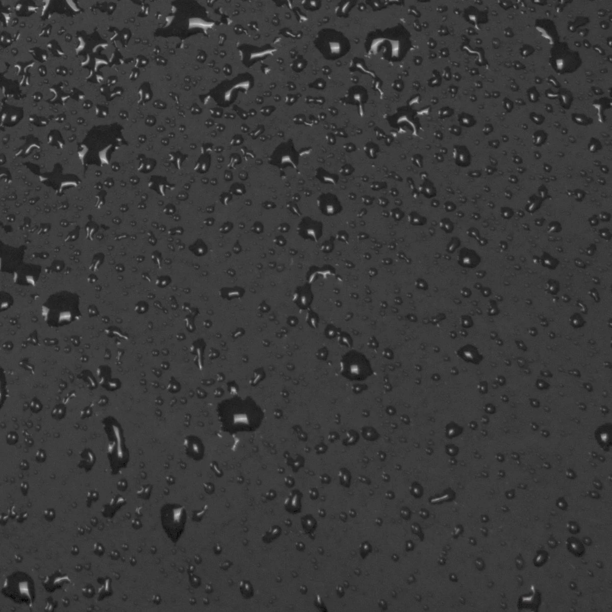 New Rebels® Harper - Rugtas - Zwart - Waterbestendig - 9L - 28x8x38cm - Rugzak / Backpack 17 New Rebels® Harper - Rugtas - Zwart - Waterbestendig - 9L - 28x8x38cm - Rugzak / Backpack - Afbeelding 17