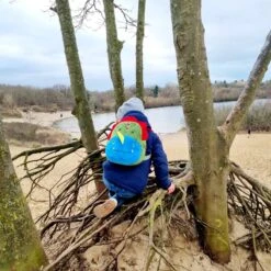 Dinosaurus Backpack - Rex - Peuter Rugtas – Rugzak Schooltas Voor Peuters/Kleuters – Jongens En Meisjes | Kinderrugzak | Kinder Rugzak | Dieren | Schooltas | Peuterspeelzaal | Opvang | 6 Liter | Klein Peuter Rugzak | Rugtas | Dino | T-Rex 15 Dinosaurus Backpack - Rex - Peuter Rugtas – Rugzak Schooltas Voor Peuters/Kleuters – Jongens En Meisjes | Kinderrugzak | Kinder Rugzak | Dieren | Schooltas | Peuterspeelzaal | Opvang | 6 Liter | Klein Peuter Rugzak | Rugtas | Dino | T-Rex -Kofferland Goedkope Winkel 1200x1200 1213