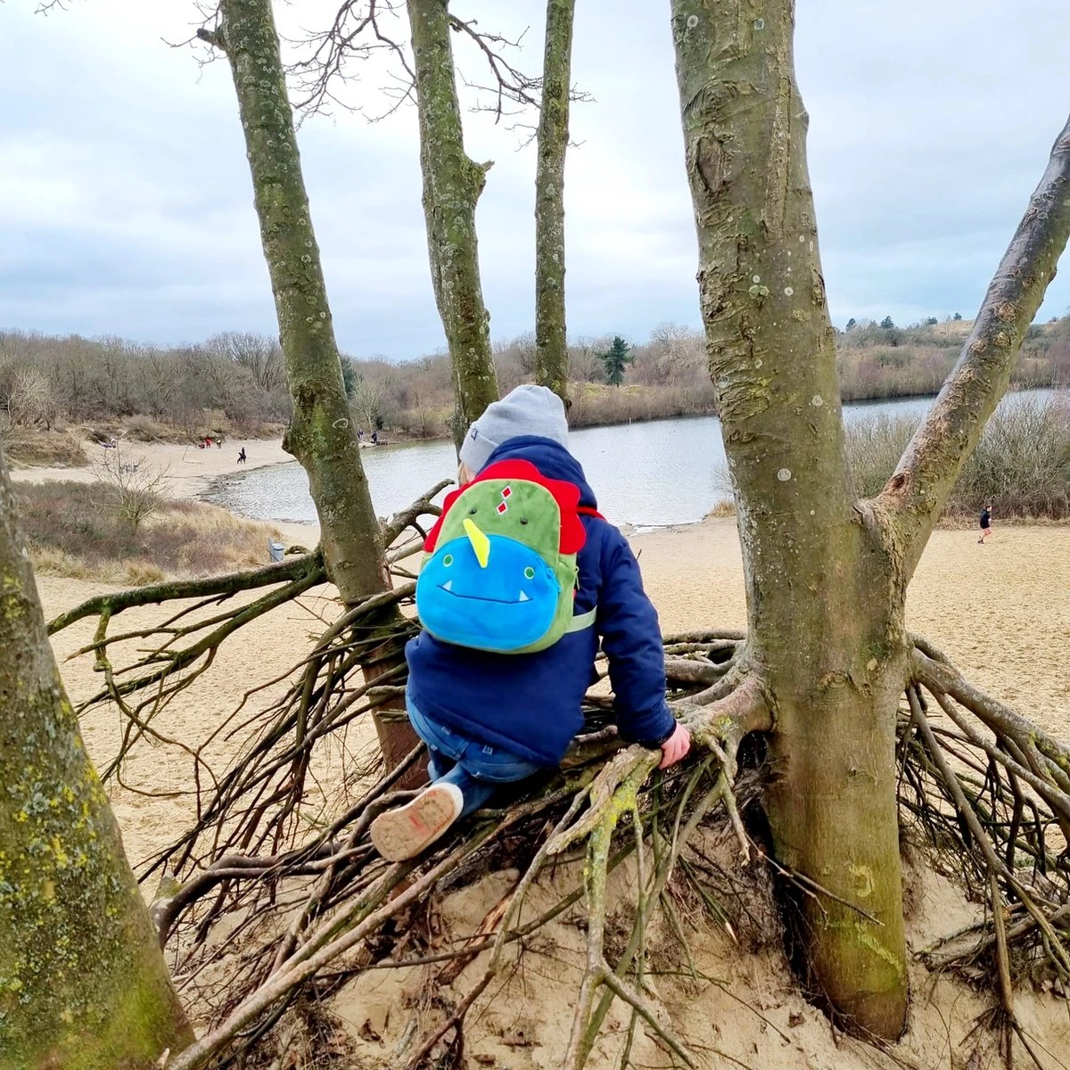 Dinosaurus Backpack - Rex - Peuter Rugtas – Rugzak Schooltas Voor Peuters/Kleuters – Jongens En Meisjes | Kinderrugzak | Kinder Rugzak | Dieren | Schooltas | Peuterspeelzaal | Opvang | 6 Liter | Klein Peuter Rugzak | Rugtas | Dino | T-Rex 8 Dinosaurus Backpack - Rex - Peuter Rugtas – Rugzak Schooltas Voor Peuters/Kleuters – Jongens En Meisjes | Kinderrugzak | Kinder Rugzak | Dieren | Schooltas | Peuterspeelzaal | Opvang | 6 Liter | Klein Peuter Rugzak | Rugtas | Dino | T-Rex - Afbeelding 8